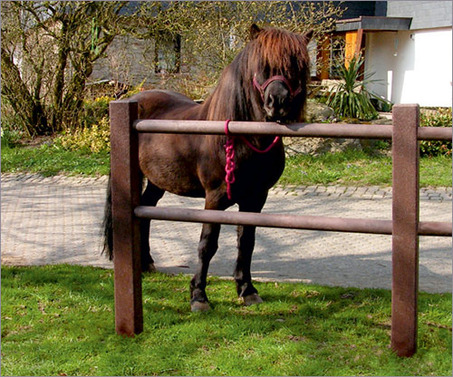 Zaun  aus Recyclingkunststoff